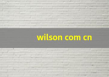 wilson com cn